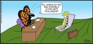 butterfly therapy
